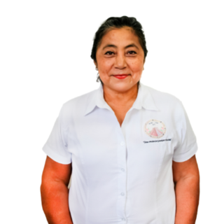Fotografía de Ing. Paula Guadalupe Pech Puc, Presidenta