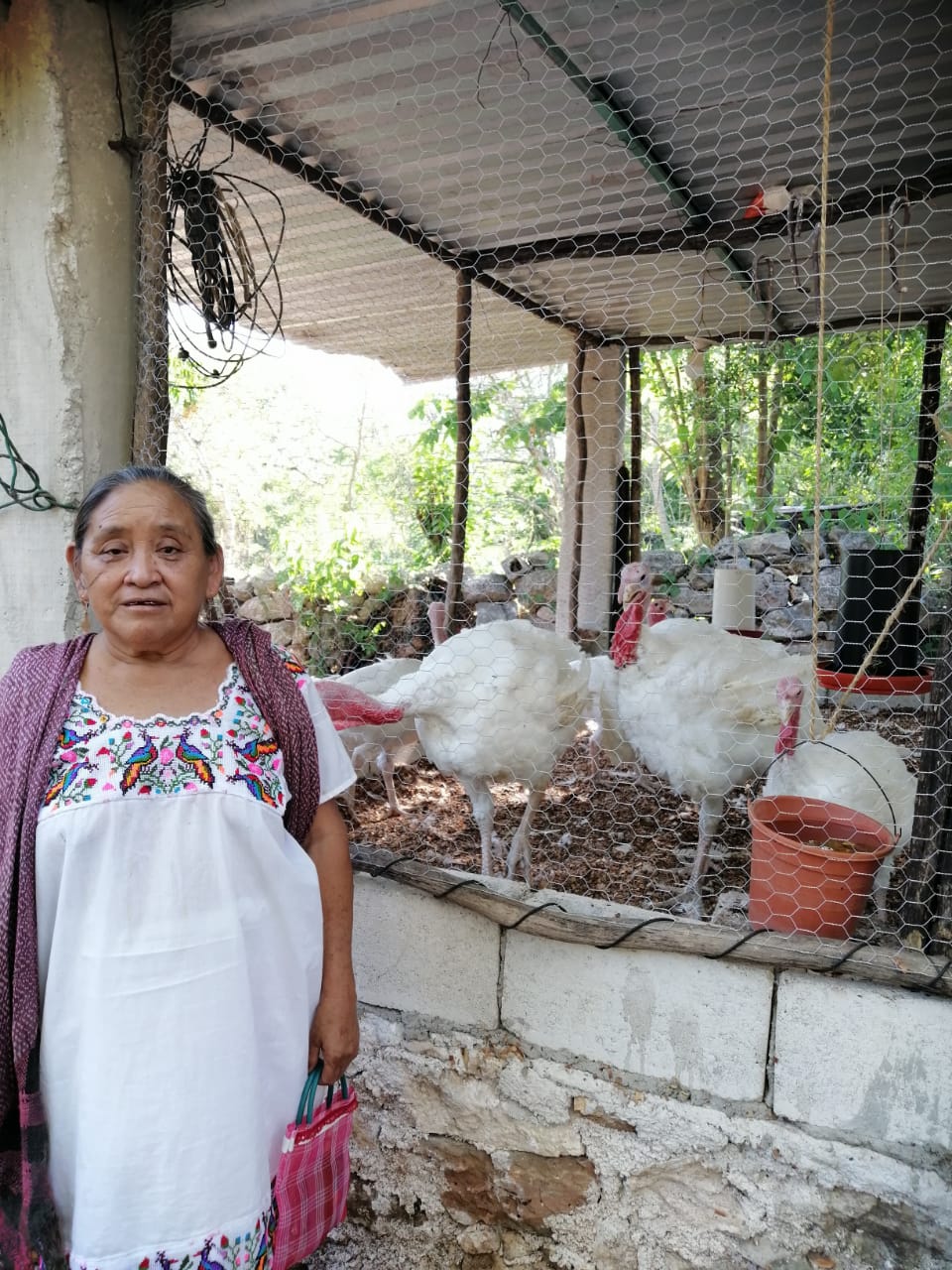 Programa de Engorda de pavos de traspatio que se llevó a cabo en la primera etapa en 15 localidades del Estado de Yucatán
